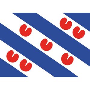 10x Friesland vlag stickers 10 cm