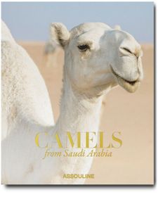 Assouline livre Camels from Saudi Arabia - Tons neutres