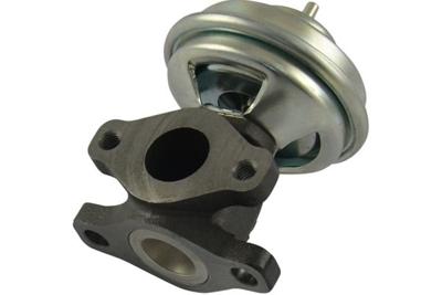 EGR klep EEG3009