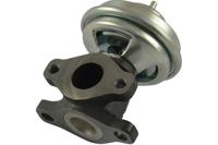 EGR klep EEG3009