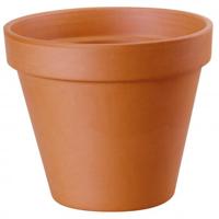 Pot terracotta d22h18.5 cm Terraliet - Hortus