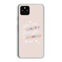 Right Place: Google Pixel 5a 5G Transparant Hoesje