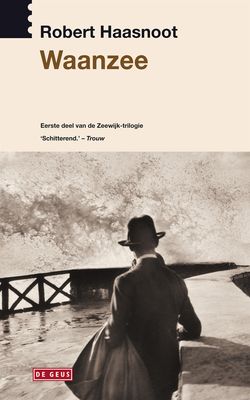 Waanzee - Robert Haasnoot - ebook