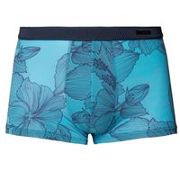 Hom temptation short Fano blue