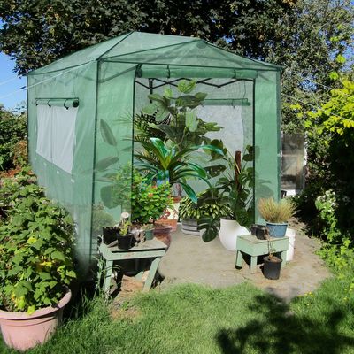Broeikas Foliekas Broeikas met Oprolbare Deur en 2 Ramen Tomatenhuis met PE Roosterfolie Plantenhuis Tomaten Folietent Groen