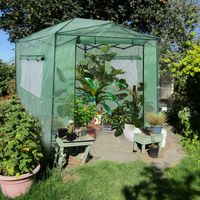 Broeikas Foliekas Broeikas met Oprolbare Deur en 2 Ramen Tomatenhuis met PE Roosterfolie Plantenhuis Tomaten Folietent Groen