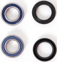 ALL BALLS Racing radlagersatz wheel bearing sets 25-109 complete with simmerrings