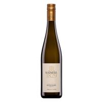 Grüner Veltliner Ried Kirchgraben 2023 DAC - 75CL - 12,5% Vol.