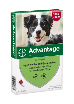 Advantage Hond 250, 10 - 25 kilo 4 pipetten