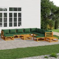 12-delige Loungeset met groene kussens massief hout