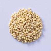 Pijnboompitten klein 1000 gram