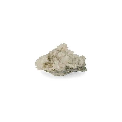 Gekristalliseerde Edelsteen Calciet Wit Hondentand - Pyriet (Model 331)