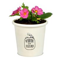 Plantenpot/bloempot voor buiten - zink - ivoorwit - D14 x H13 cm