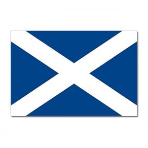 Vlag Schotland - 90 x 150 cm - Schotse Vlag - Scotland