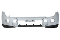 Bumper 5510003733900P