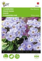 Zaden phlox vlambloem blue beauty 0.4 gram - Buzzy Zaden phlox vlambloem blue beauty 0.4 gram - Buzzy