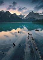 Komar Stefan Hefele; Komar Wanderlust Fotobehang Burning Emerald - SHX4-012