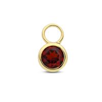 14K Geelgouden Oorringhanger Januari Geboortesteen 8,5x6mm - Per Stuk