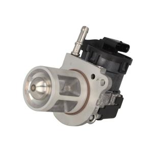EGR Klep 710095D