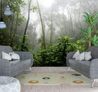 Fotobehang bos Donkere jungle