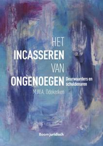 Het incasseren van ongenoegen (Paperback)