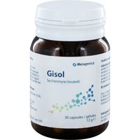 Gisol - thumbnail