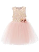 Tulleen robe longue Aldercroft en tulle - Rose - thumbnail