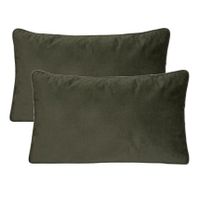 Bank/sierkussens Sophia - 2x stuks - 30 x 50 cm - polyester met rits