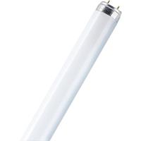 OSRAM TL-lamp Energielabel: G (A - G) G13 16 W Warmwit Buis (Ø x l) 25.5 mm x 734.2 mm 1 stuk(s)