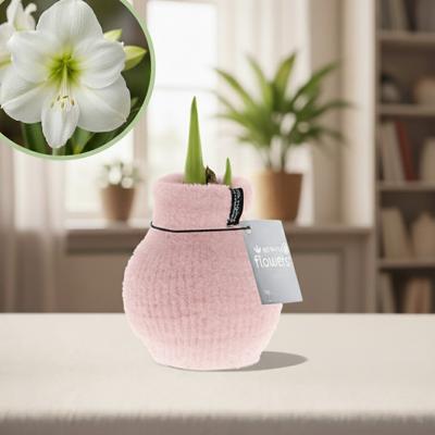 Amaryllis fluffy roze
