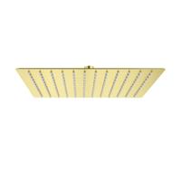 Hoofddouche BWS Colorato Vierkant 30x30 cm Geborsteld Goud Aquasplash