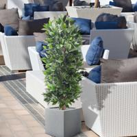 Laurier kolom kunstplant 125cm - UV bestendig Laurier kolom kunstplant 125cm - UV bestendig