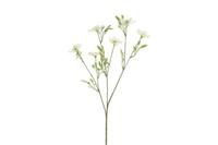 Decostar zijdebloem Cosmos iriserend 76 cm crème