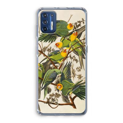 Carolinaparkiet: Motorola Moto G9 Plus Transparant Hoesje