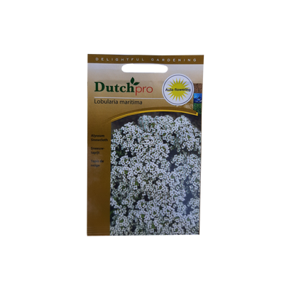 Dutch Pro Dutch Pro - Sneeuwtapijt
