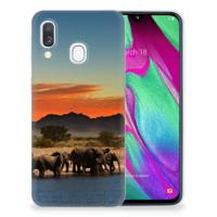 Samsung Galaxy A40 | TPU Hoesje | Olifanten