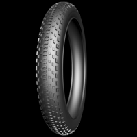 Buitenband Fatbike Edge Fat BST Protect 20 x 4.00" / 100-406mm - zwart