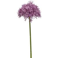 Allium/Sierui kunstbloem - losse steel - paars - 62 cm - Natuurlijke uitstraling - thumbnail