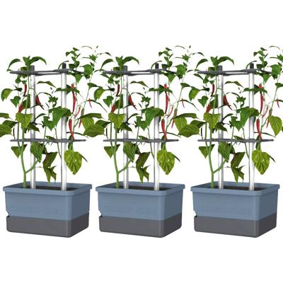 Gusta Garden CHARLY CHILI 3er-Set blau / W07078 Plantcontainer
