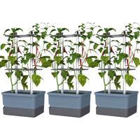 Gusta Garden CHARLY CHILI 3er-Set blau / W07078 Plantcontainer