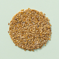 Lijnzaad GEEL 500 gram