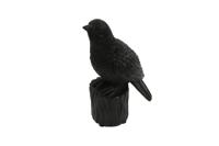 Vogel m/geluid Karolus XS zwart - Countryfield Vogel m/geluid Karolus XS zwart - Countryfield