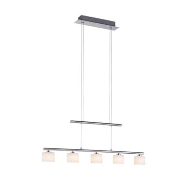 Paul Neuhaus 5-lichts hanglampHydra metaal - 2209-55