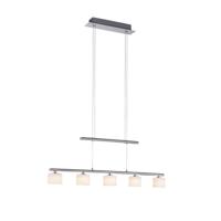 Paul Neuhaus 5-lichts hanglampHydra metaal - 2209-55
