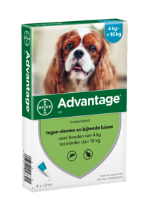 Advantage Hond 100, 4 - 10 kilo 4 pipetten