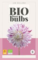 Bio Dahlia Avignon Bloembol JUB 1 bol - Jub