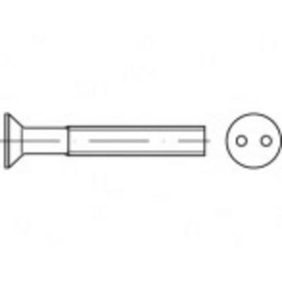 TOOLCRAFT TO-5379966 Veiligheidsschroeven M6 16 mm Tweegats 88112 RVS A2 100 stuk(s)