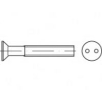 TOOLCRAFT TO-5379966 Veiligheidsschroeven M6 16 mm Tweegats 88112 RVS A2 100 stuk(s) - thumbnail