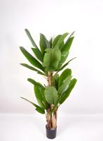Bananenboom 180 cm kunstplant Oosterik Home - Oosterik home