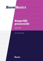Burgerlijk procesrecht (Paperback)